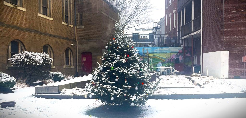 A lit Christmas Tree at the Seeds of Hope garden, decorated by Lifebridge clients and staff