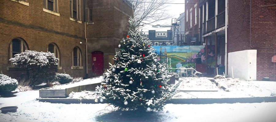A lit Christmas Tree at the Seeds of Hope garden, decorated by Lifebridge clients and staff