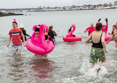 Pink flamingo plunger group swimming in the water.